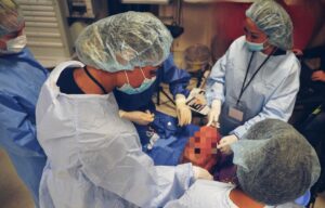 Cadaver Art Aesthetics 2023