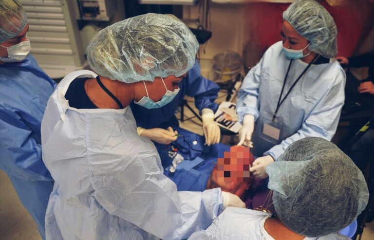 Cadaver Art Aesthetics 2023