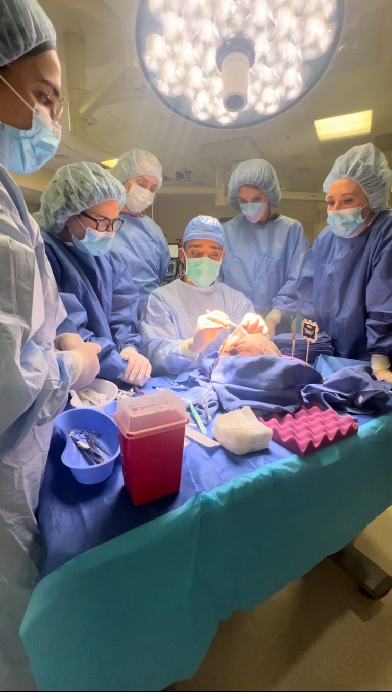 Cadaver Art Aesthetics 2023